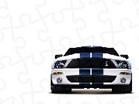 Ford Shelby GT500