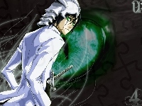 Ulquiorra Shiffer, Bleach