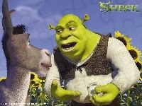 Shrek, Shrek 1, osioł, słoneczniki