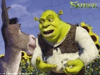 Shrek, Shrek 1, osioł, słoneczniki