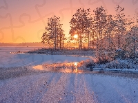 Karelia, Zima, Wschód słońca, Drzewa, Rosja, Rzeka Siegieża