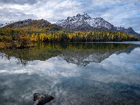 Silsersee, Dolina Engadyna, Szwajcaria, Góry, Las, Chmury, Odbicie, Jezioro, Drzewa