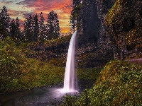 Wodospad, Stany Zjednoczone, Silver Falls State Park, Drzewa, Park stanowy, Oregon, South Falls