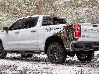 Chevrolet Silverado Z71 Custom, 2021