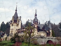 Drzewa, Pałac Peles, Sinaia
