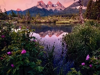 Rzeka, Alberta, Kanada, Góry, Bow River, Drzewa, Kwiaty, Three Sisters Peaks, Canmore