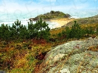 Skała, Morze, Plaża, Drzewa