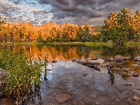 Kamienie, Wschód słońca, Drzewa, Kolorado, Park Narodowy Gór Skalistych, Spraque Lake, Stany Zjednoczone, Jezioro