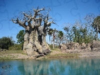 Rzeka, Niebo, Drzewa, Baobab, Skałki