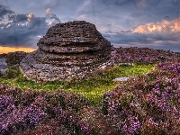 Wrzosowisko, Anglia, Wrzosy, Wzgórze, Over Owler Tor, Formacja skalna, Park Narodowy Peak District, Skała