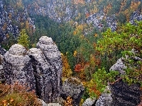 Góry Połabskie, Drzewa, Niemcy, Park Narodowy Saskiej Szwajcarii, Skały