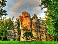 Drzewa, Skały, Trawa