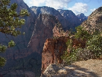 Utah, Stany Zjednoczone, Park Narodowy Zion, Skały, Drzewa, Kanion, Góry, Rośliny