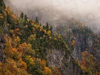 Drzewa, Góry, Jesień, Skały, Mgła, Kolorowe
