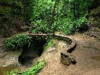 Ścieżka, Las, Skały, Zródełko