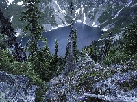 Stan Waszyngton, Stany Zjednoczone, Góry Kaskadowe, Skały, Jezioro, Drzewa, Park Narodowy Północnych Gór Kaskadowych, Rainy Lake