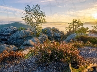 Wschód słońca, Mgła, Skały, Park Narodowy Saskiej Szwajcarii, Góry Połabskie, Roślinność, Niemcy, Drzewa