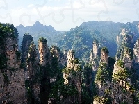 Skały, Rośliny