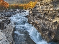 Rzeka, Skały, Las