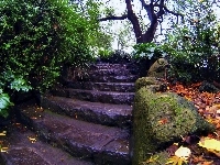 Schody, Skały, Jesień, Krzewy, Park, Drzewa, Liście