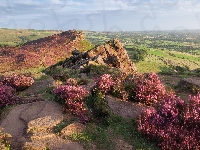 Park Narodowy Peak District, Anglia, Drzewa, Skały, Wrzosy, Łąki, Wysokie, Pola