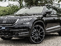 Skoda Kodiaq, ABT