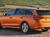 Tył, Skoda Octavia, Combi, Bok