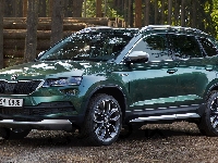 Skoda Karoq Scout