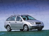 Skoda Fabia, Srebrna, Kombi