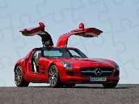 Skrzydła, Mercedes Benz SLS, Drzwi