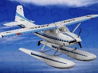 Skywagon, Cessna 185, Grafika