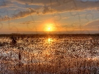 Park Narodowy Everglades, Bagno, Stany Zjednoczone, Floryda, Zachód Słońca