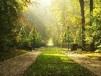 Słońca, Alejki, Park, Promienie, Drzewa
