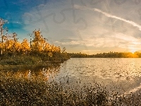Słońca, Las, Jesień, Wschód, Jezioro