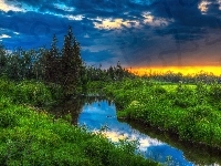 Zachód Słońca, Las, Kanada, Rzeka, Krzewy, Alberta