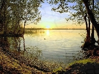 Słońca, Jezioro, Zachód, Drzewa
