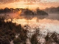 Słońca, Drzewa, Jezioro, Zachód, Mgła