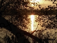 Słońca, Jezioro, Zachód, Gałęzie