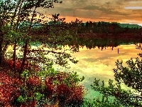 Słońca, Jezioro, Zachód, Lasy