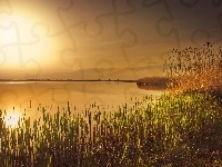 Słońca, Jezioro, Zachód, Trawa