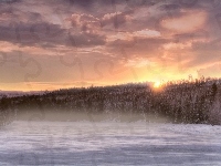 Słońca, Las, Zachód, Śnieg
