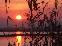 Słońca, Rzeka, Zachód, Trzciny