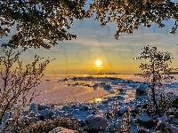 Kotka, Promienie słońca, Drzewa, Zatoka Fińska, Zima, Finlandia, Morze Bałtyckie, Kamienie