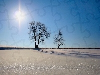 Słońce, Zenicie, Błyszczący, Śnieg, W