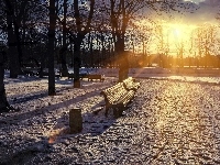 Słońce, Zima, Drzewa, Park, Przebijające, Ławki
