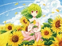 Słoneczniki, Manga Anime, Dziewczyna, Lato