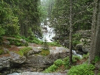 Słowacja, Tatry, Potok Studencki