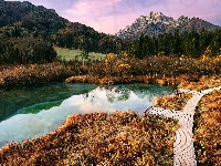 Góry, Kranjska Gora, Słowenia, Rezerwat przyrody Zelenci, Drzewa, Pomost, Jesień, Jezioro Zelenci, Drewniany