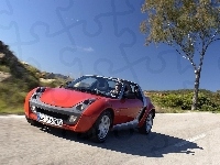 Czerwony, Smart Roadster