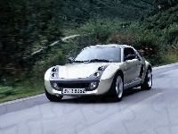 Szary, Smart Roadster